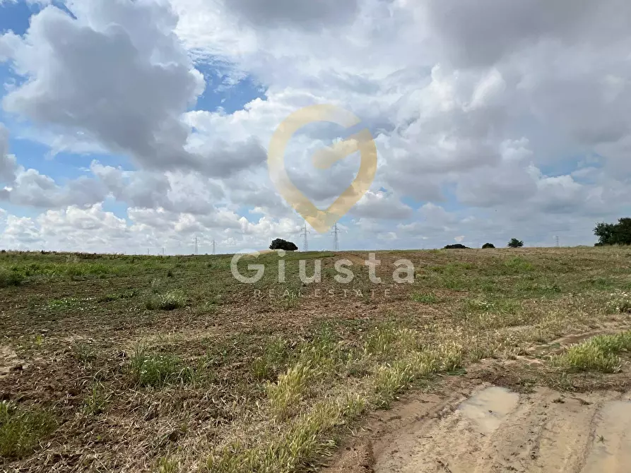 Immagine 1 di Terreno agricolo in vendita  in CONTRADA PALMARINI snc a Brindisi