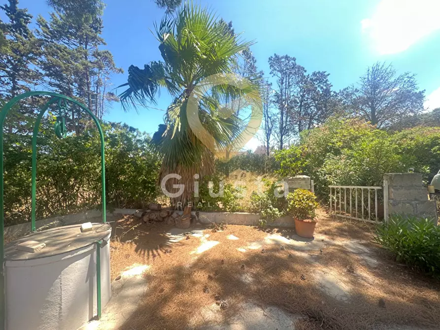Immagine 1 di Villa in vendita  in Contrada Campobasso a Brindisi