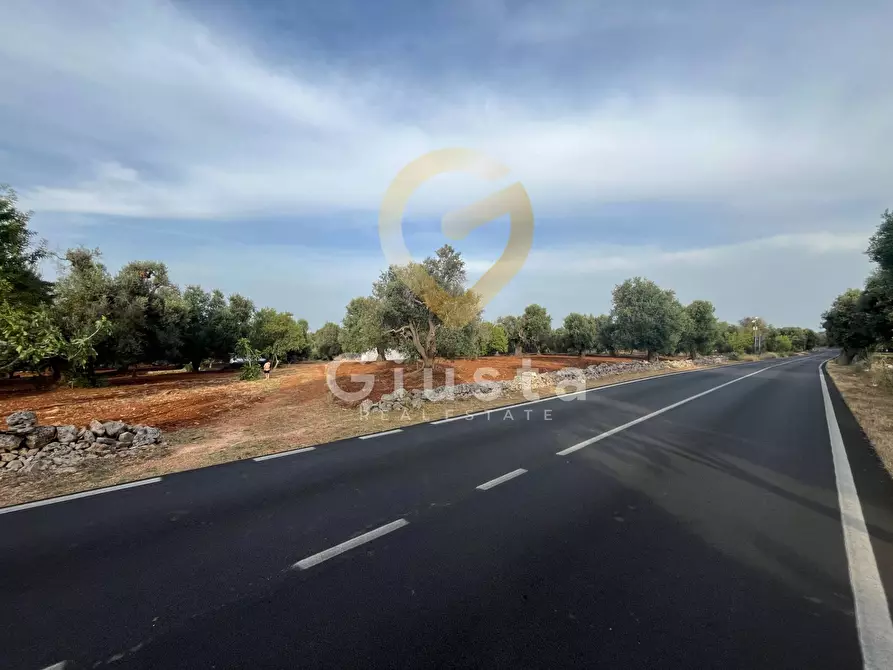 Immagine 3 di Baita in vendita  in Strada Provinciale 28 snc a Ceglie Messapico