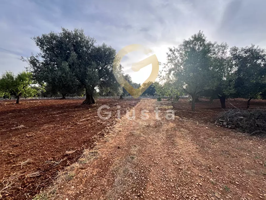 Immagine 5 di Baita in vendita  in Strada Provinciale 28 snc a Ceglie Messapico