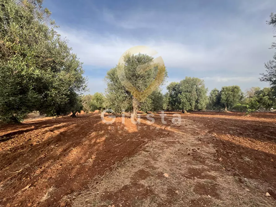 Immagine 6 di Baita in vendita  in Strada Provinciale 28 snc a Ceglie Messapico