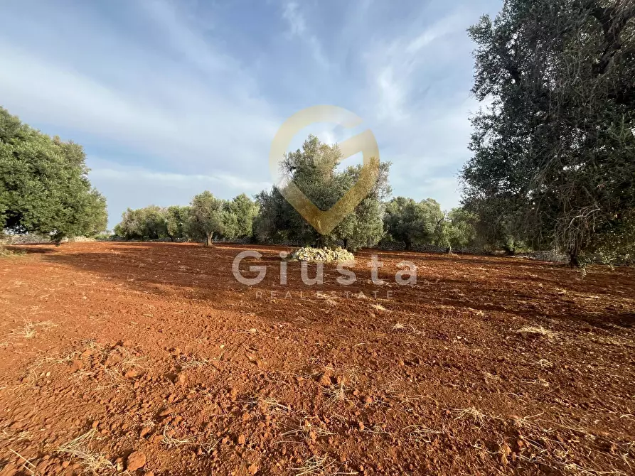 Immagine 8 di Baita in vendita  in Strada Provinciale 28 snc a Ceglie Messapico