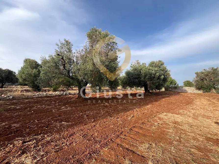 Immagine 10 di Baita in vendita  in Strada Provinciale 28 snc a Ceglie Messapico