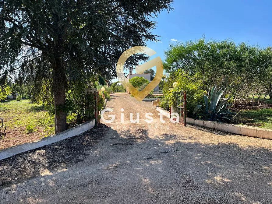 Immagine 3 di Casa indipendente in vendita  in C.DA DIFESA 1 a Francavilla Fontana