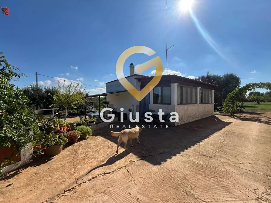 Immagine 6 di Casa indipendente in vendita  in C.DA DIFESA 1 a Francavilla Fontana