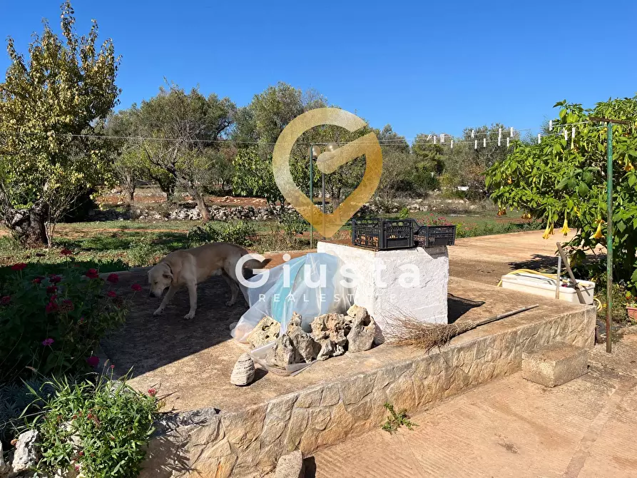 Immagine 10 di Casa indipendente in vendita  in C.DA DIFESA 1 a Francavilla Fontana