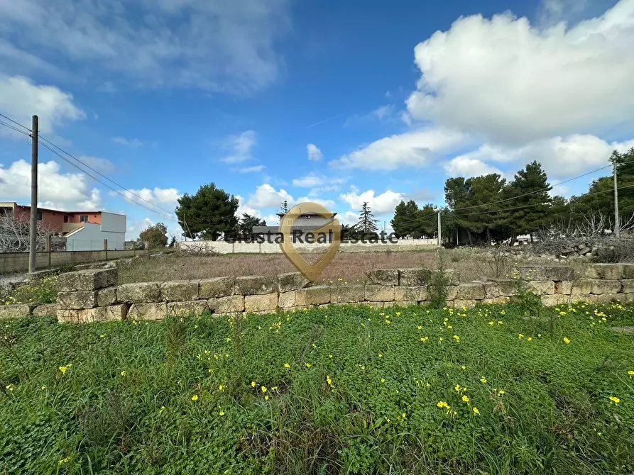 Immagine 7 di Terreno residenziale in vendita  in Via Palladio s n c a San Pietro Vernotico