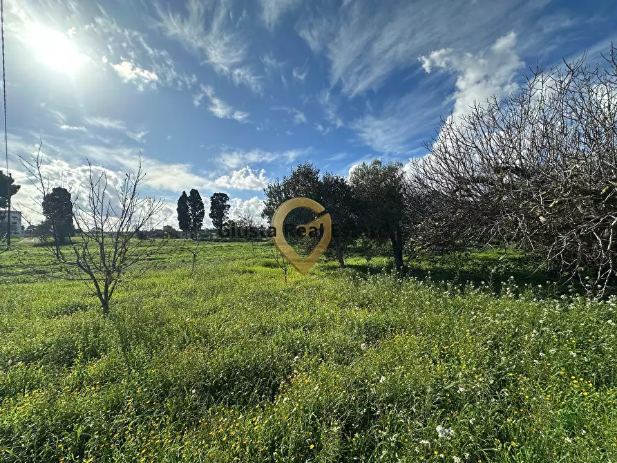 Immagine 2 di Rustico / casale in vendita  in C.da Apani s n c a Brindisi