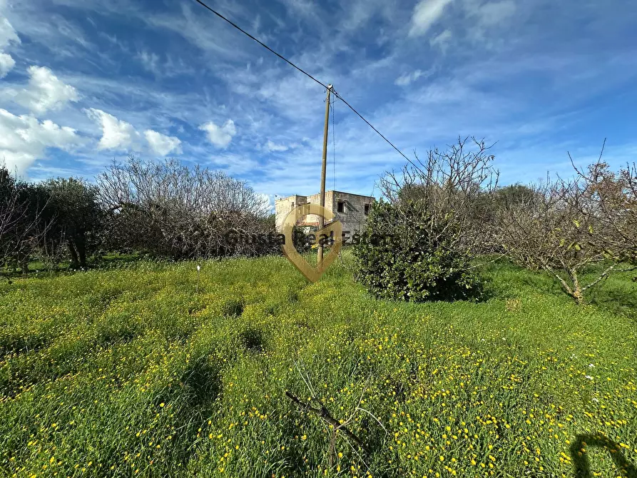 Immagine 5 di Rustico / casale in vendita  in C.da Apani s n c a Brindisi