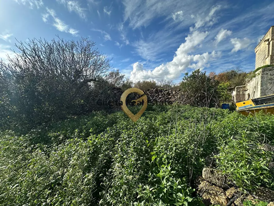 Immagine 6 di Rustico / casale in vendita  in C.da Apani s n c a Brindisi