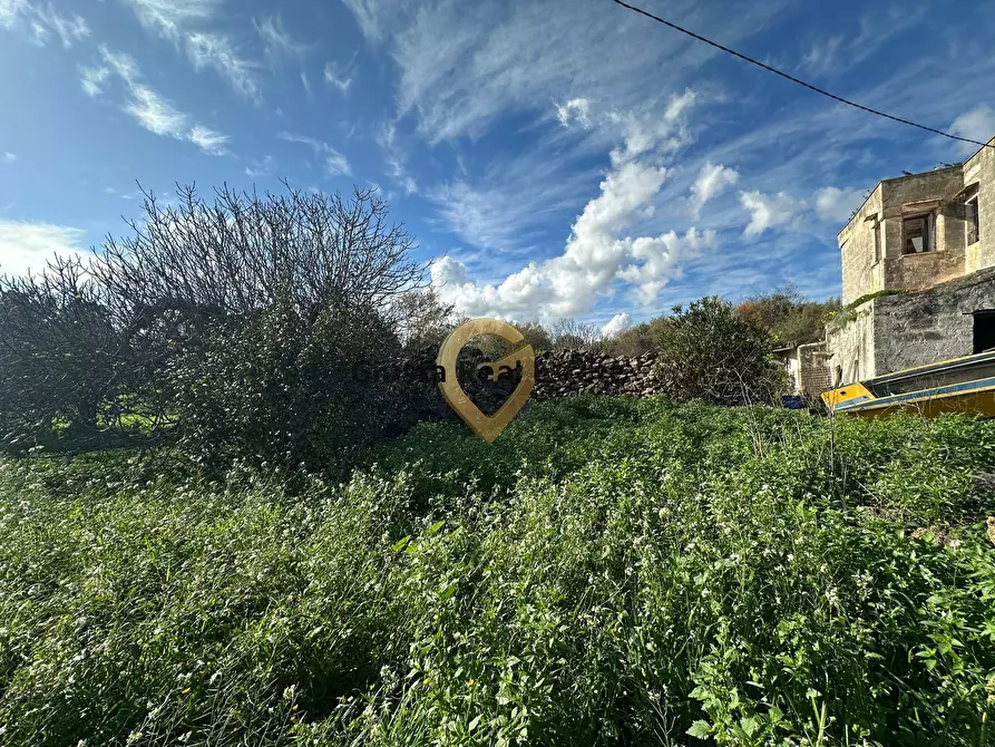 Immagine 7 di Rustico / casale in vendita  in C.da Apani s n c a Brindisi