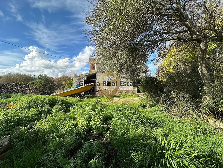 Immagine 9 di Rustico / casale in vendita  in C.da Apani s n c a Brindisi