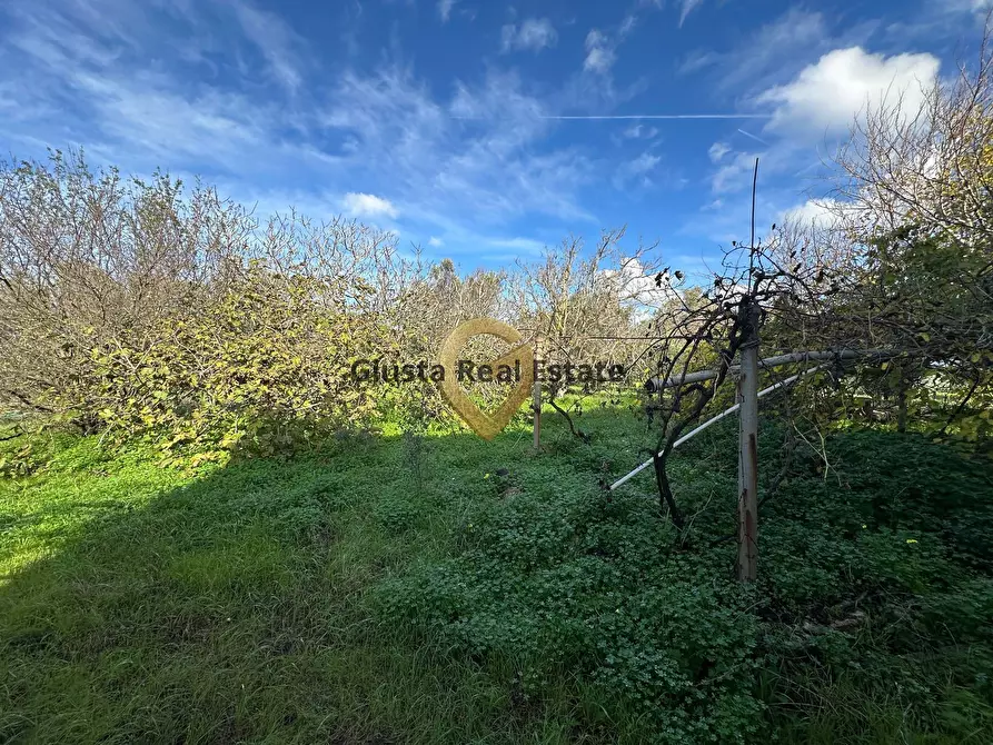 Immagine 11 di Rustico / casale in vendita  in C.da Apani s n c a Brindisi