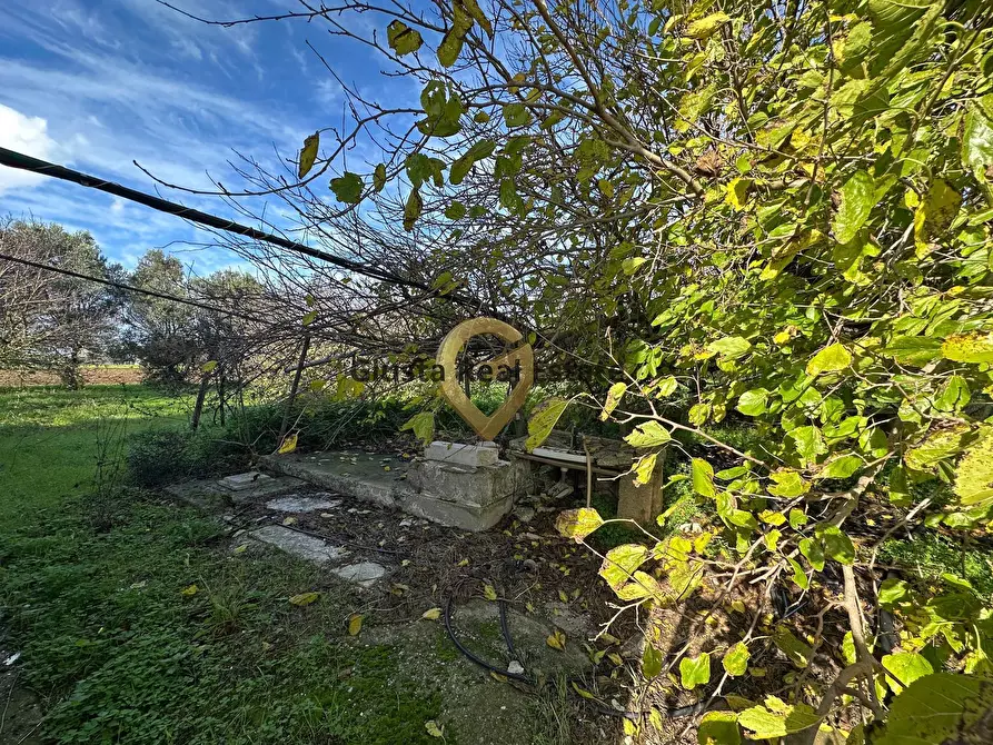 Immagine 12 di Rustico / casale in vendita  in C.da Apani s n c a Brindisi
