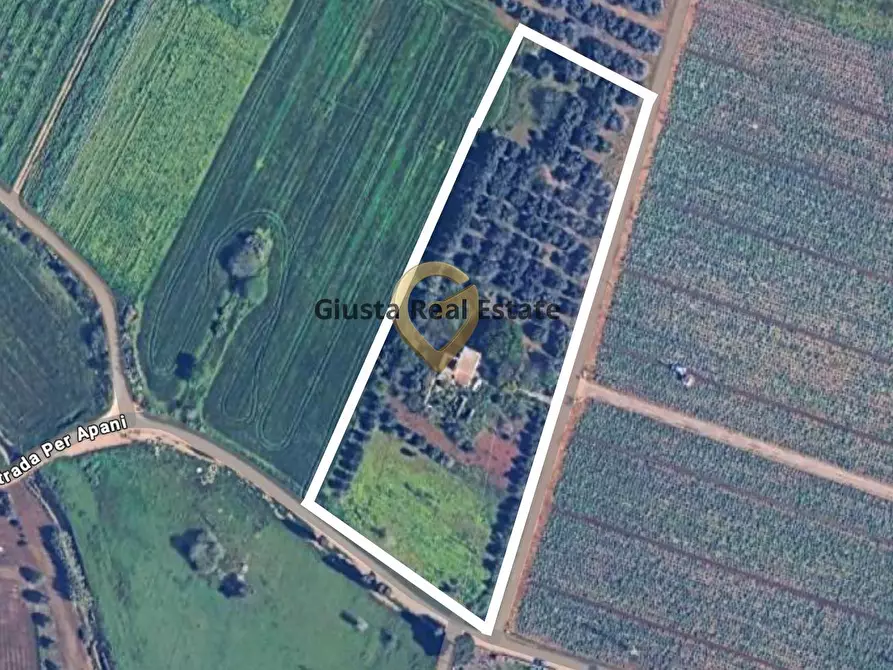 Immagine 13 di Rustico / casale in vendita  in C.da Apani s n c a Brindisi