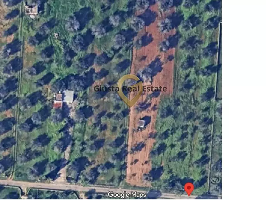 Immagine 4 di Terreno residenziale in vendita  in Contrada Gaeta Grande a San Vito Dei Normanni