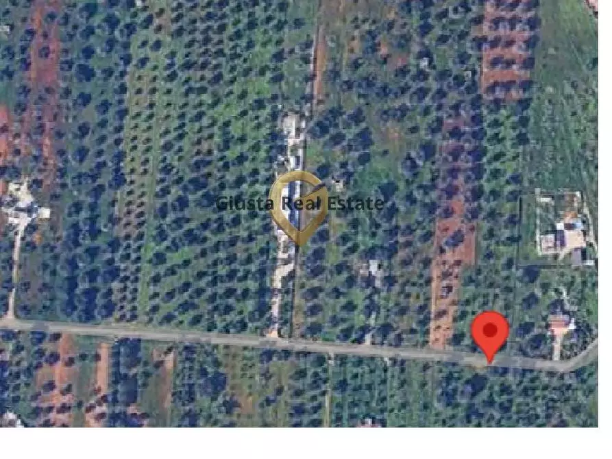 Immagine 5 di Terreno residenziale in vendita  in Contrada Gaeta Grande a San Vito Dei Normanni
