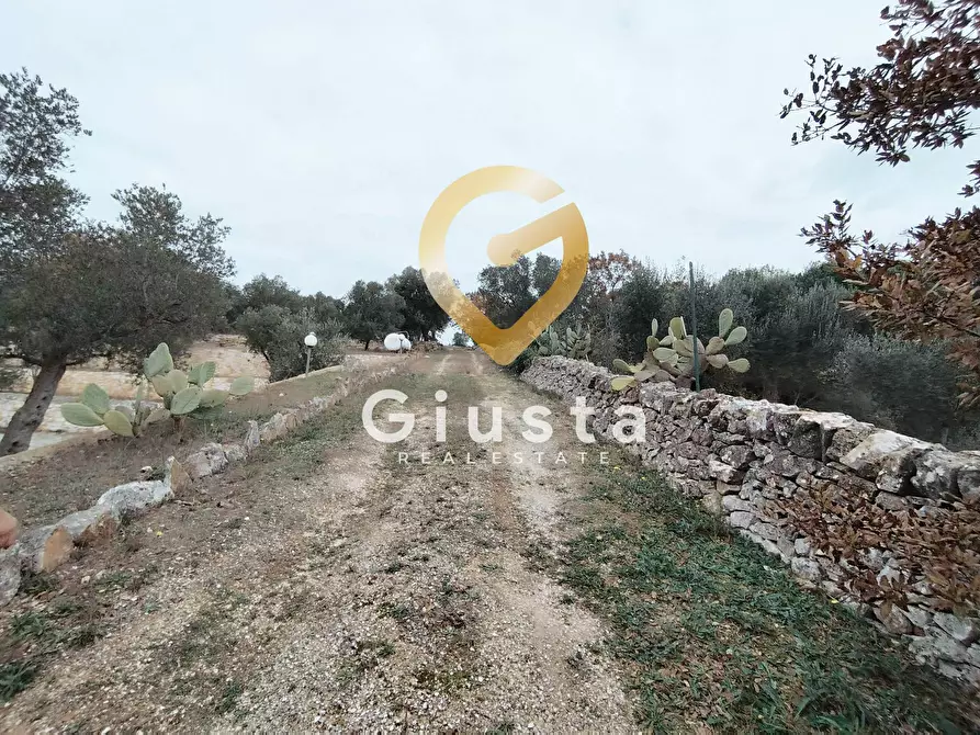 Immagine 31 di Casa indipendente in vendita  in C.da Lamatroccola snc a Ostuni