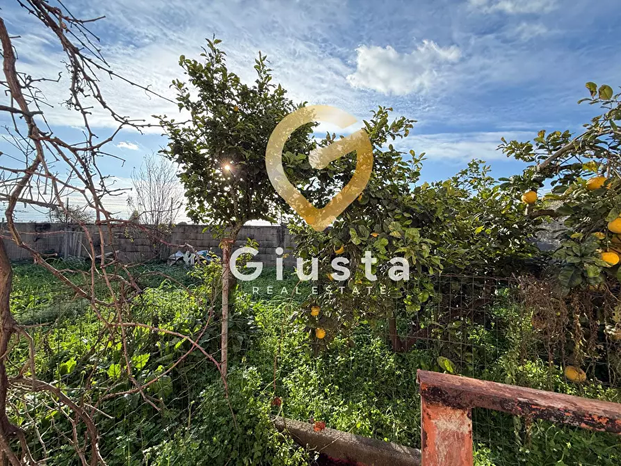 Immagine 18 di Villa in vendita  in Strada Dei Vini 16 a Brindisi