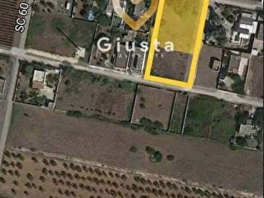 Immagine 12 di Terreno agricolo in vendita  in VIA DEL MIRTO SN a Manduria