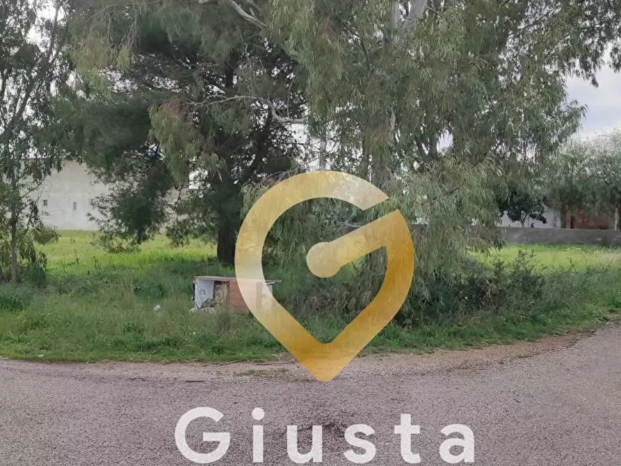 Immagine 3 di Terreno agricolo in vendita  in VIA DEL MIRTO SN a Manduria