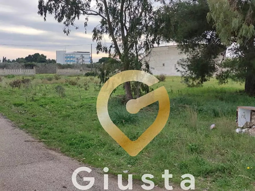 Immagine 8 di Terreno agricolo in vendita  in VIA DEL MIRTO SN a Manduria