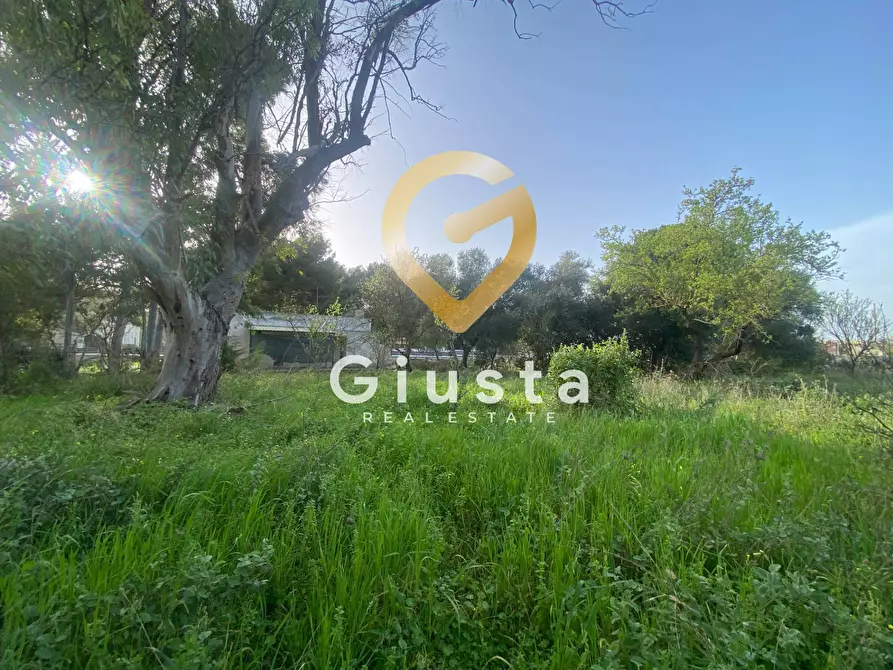 Immagine 23 di Casa indipendente in vendita  in Via Volga 2 a Avetrana