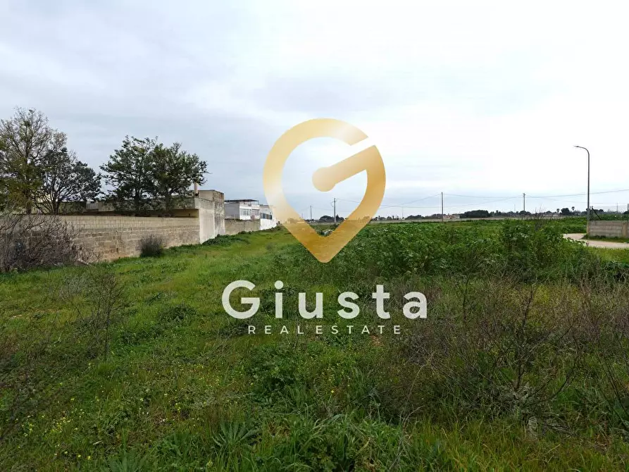 Immagine 4 di Terreno residenziale in vendita  in Via Torre S. Susanna SN a Mesagne