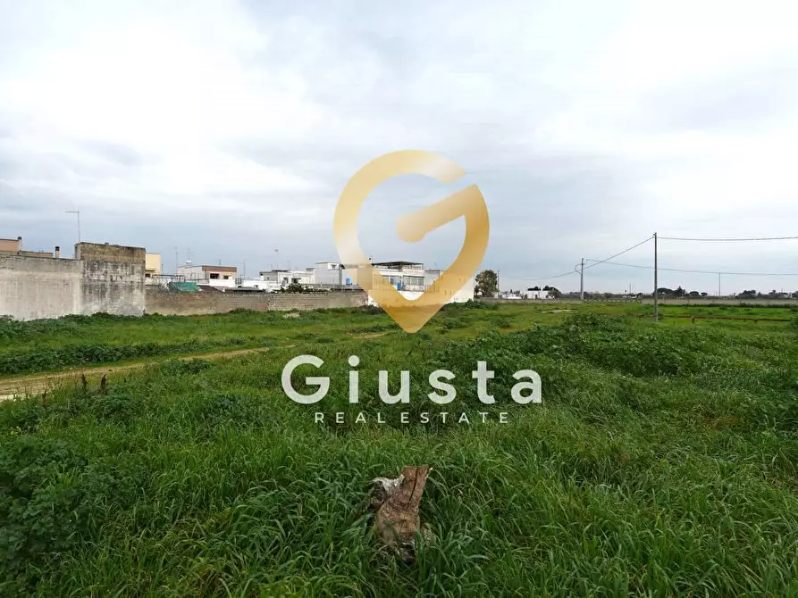 Immagine 2 di Terreno residenziale in vendita  in Via Torre S. Susanna SN a Mesagne