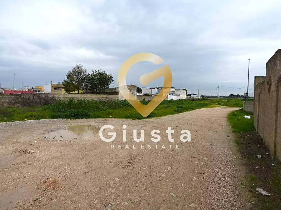 Immagine 3 di Terreno residenziale in vendita  in Via Torre S. Susanna SN a Mesagne