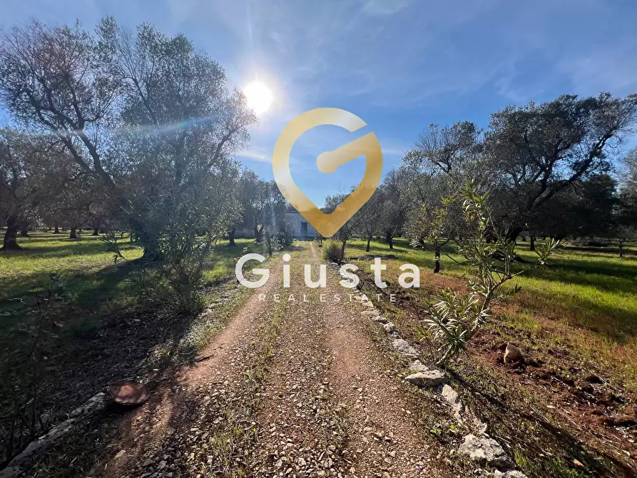 Immagine 2 di Rustico / casale in vendita  in contrada difesa snc a Francavilla Fontana