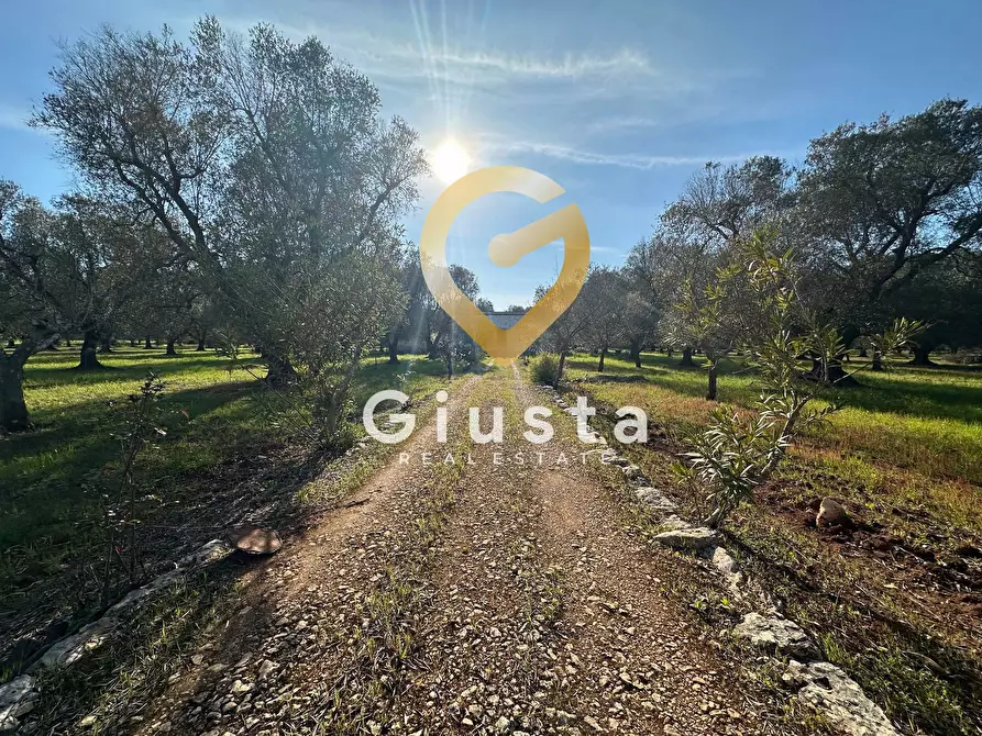 Immagine 3 di Rustico / casale in vendita  in contrada difesa snc a Francavilla Fontana