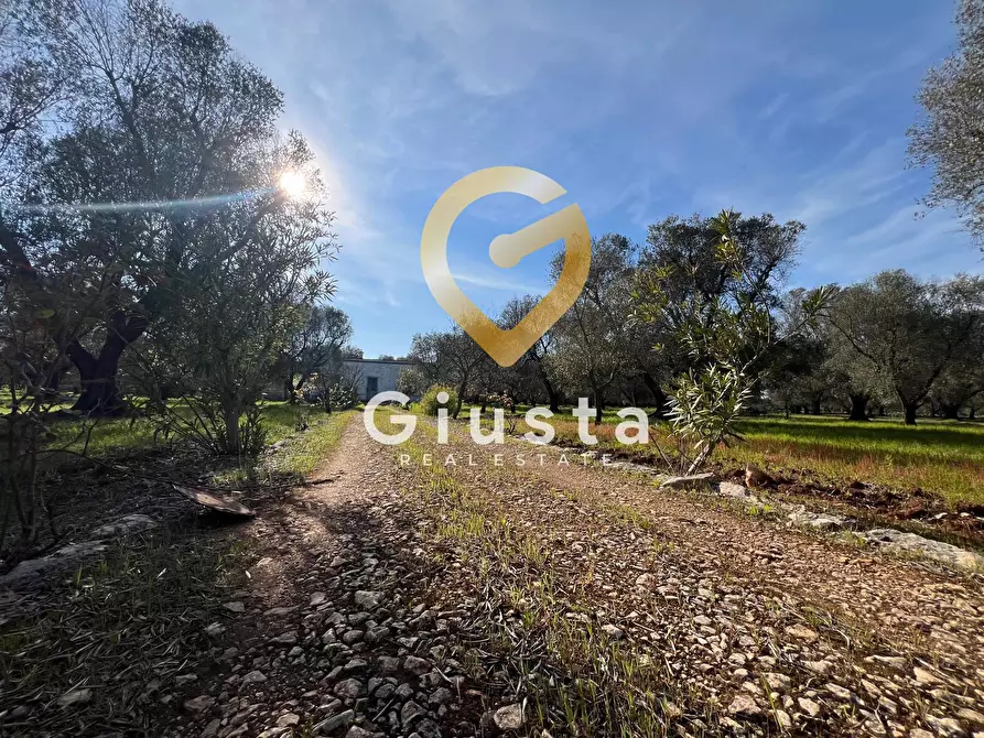 Immagine 4 di Rustico / casale in vendita  in contrada difesa snc a Francavilla Fontana