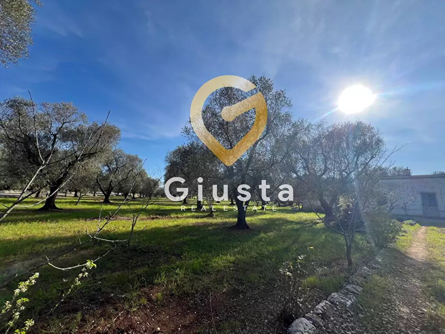 Immagine 5 di Rustico / casale in vendita  in contrada difesa snc a Francavilla Fontana