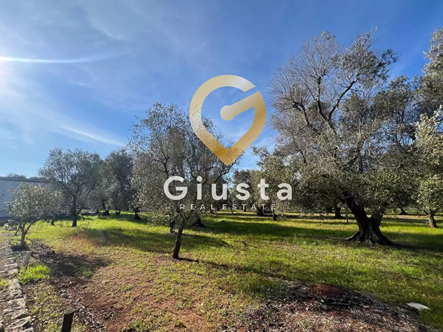 Immagine 6 di Rustico / casale in vendita  in contrada difesa snc a Francavilla Fontana