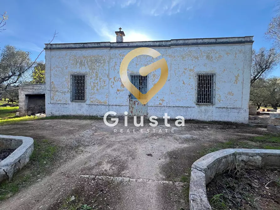 Immagine 8 di Rustico / casale in vendita  in contrada difesa snc a Francavilla Fontana