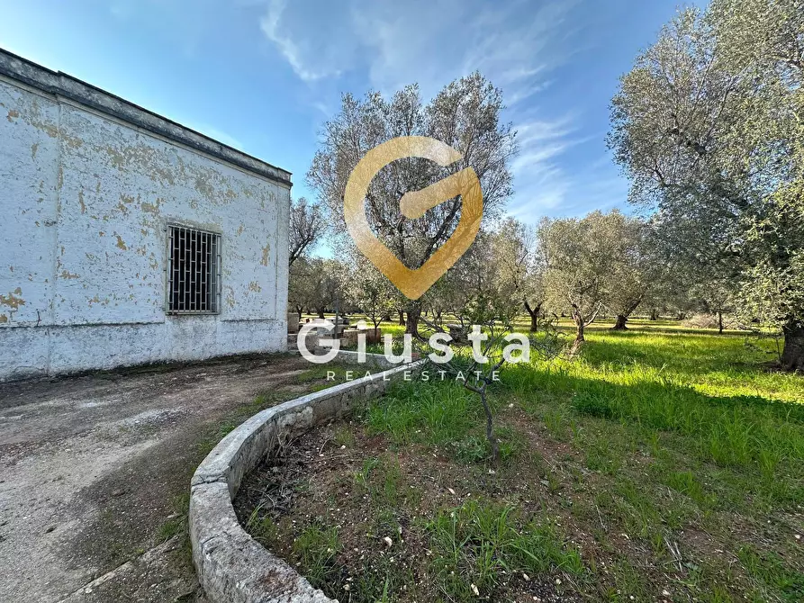 Immagine 9 di Rustico / casale in vendita  in contrada difesa snc a Francavilla Fontana