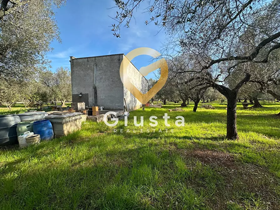 Immagine 13 di Rustico / casale in vendita  in contrada difesa snc a Francavilla Fontana