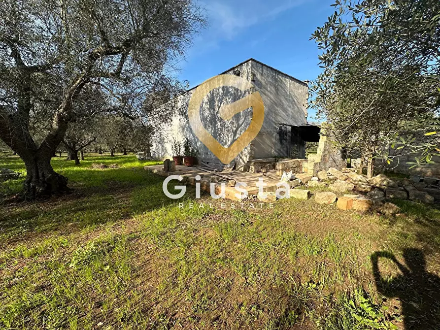 Immagine 15 di Rustico / casale in vendita  in contrada difesa snc a Francavilla Fontana