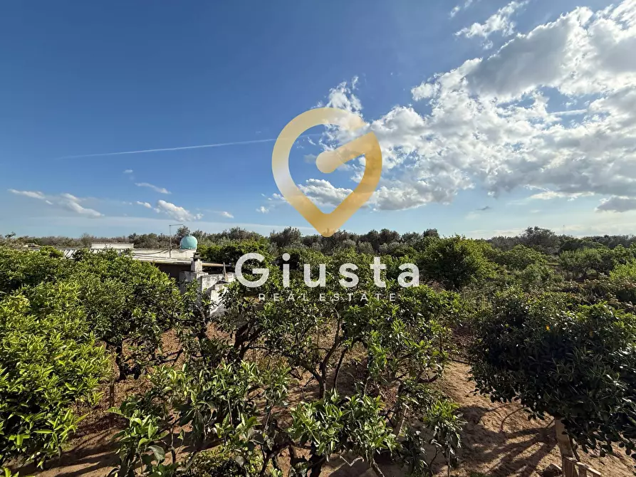 Immagine 4 di Villa in vendita  in Contrada Capineri a Mesagne