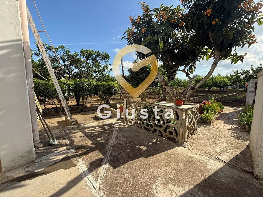 Immagine 12 di Villa in vendita  in Contrada Capineri a Mesagne