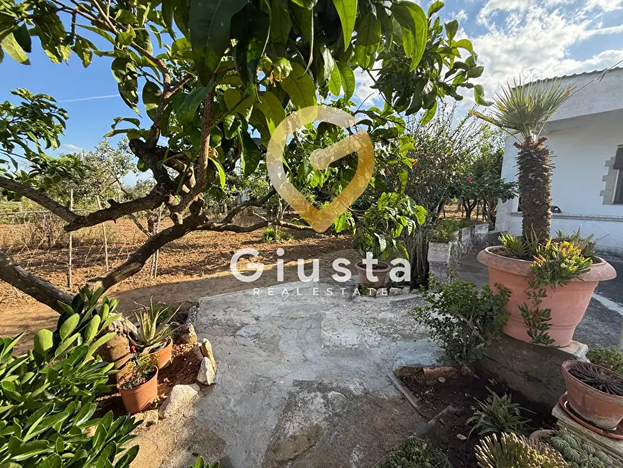 Immagine 14 di Villa in vendita  in Contrada Capineri a Mesagne