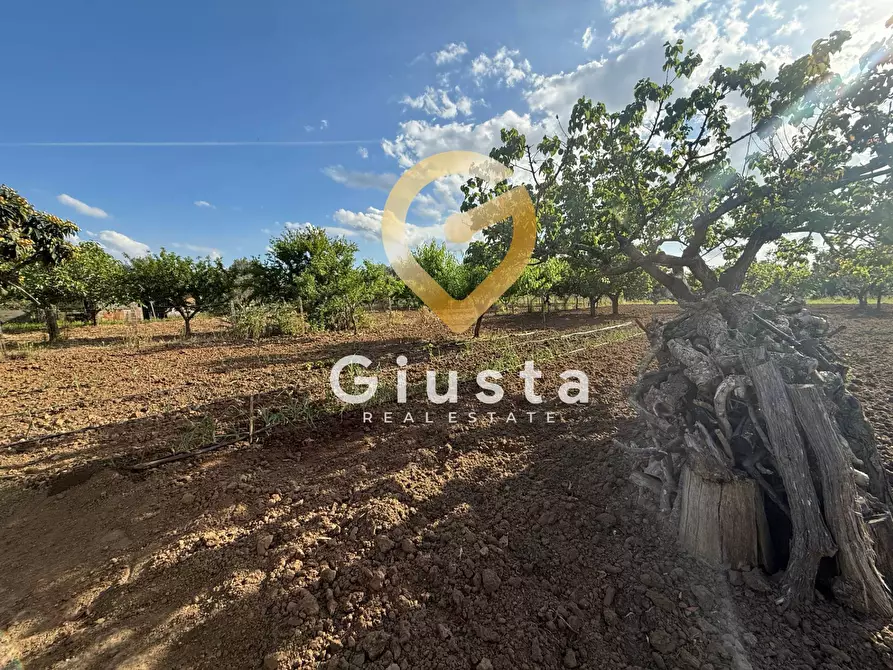 Immagine 16 di Villa in vendita  in Contrada Capineri a Mesagne