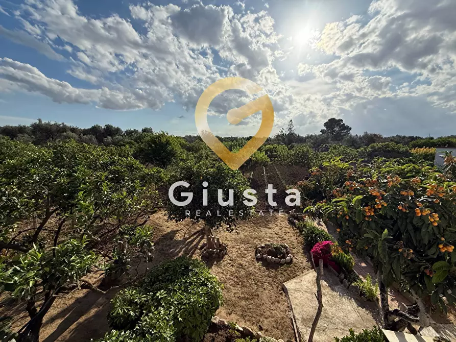 Immagine 17 di Villa in vendita  in Contrada Capineri a Mesagne