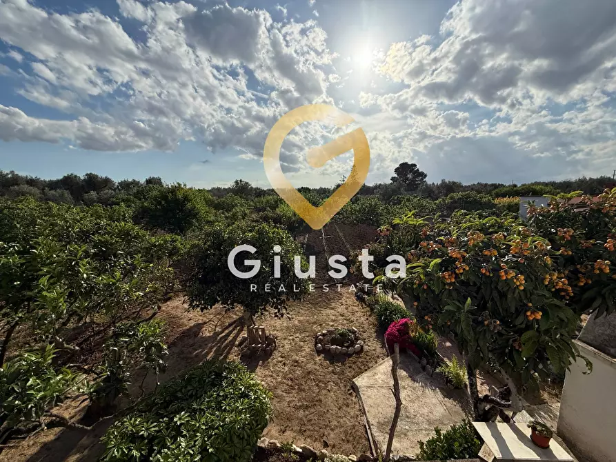 Immagine 18 di Villa in vendita  in Contrada Capineri a Mesagne