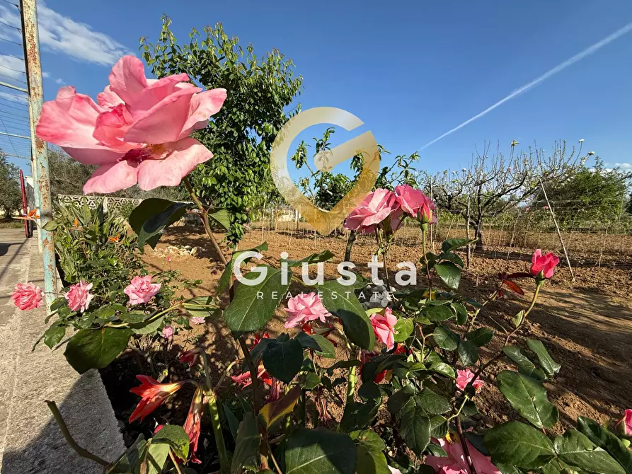 Immagine 20 di Villa in vendita  in Contrada Capineri a Mesagne