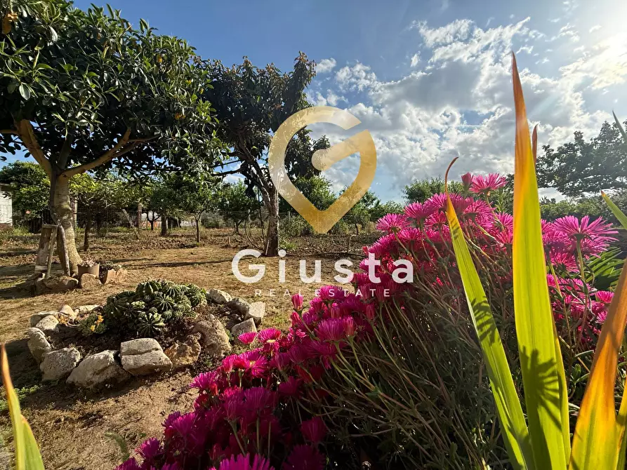 Immagine 25 di Villa in vendita  in Contrada Capineri a Mesagne