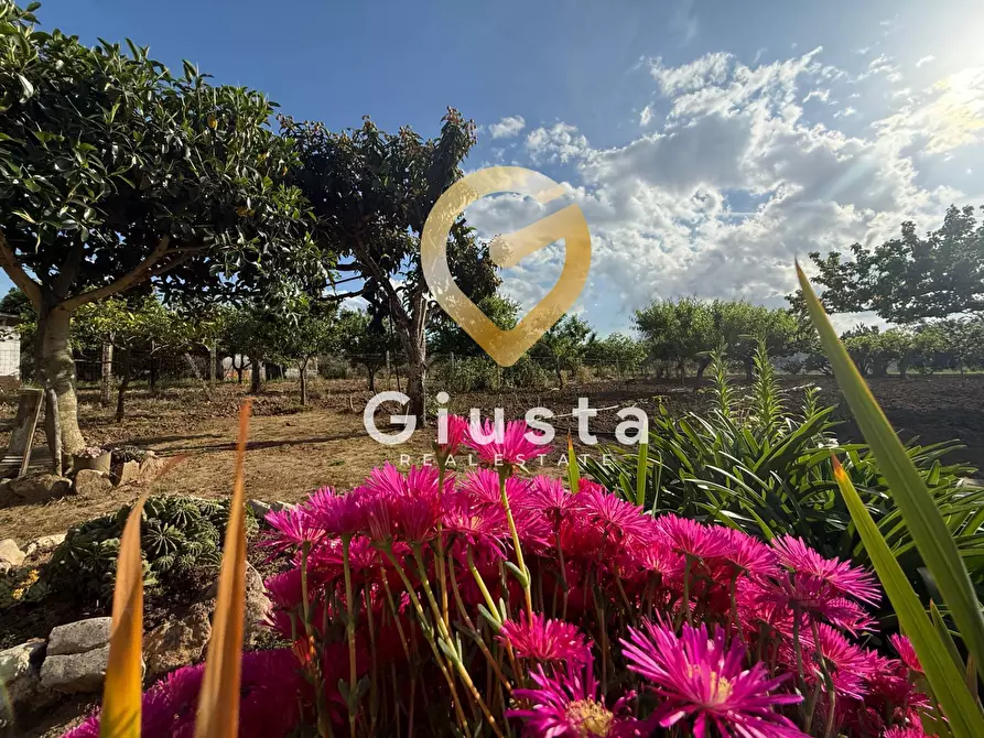 Immagine 26 di Villa in vendita  in Contrada Capineri a Mesagne