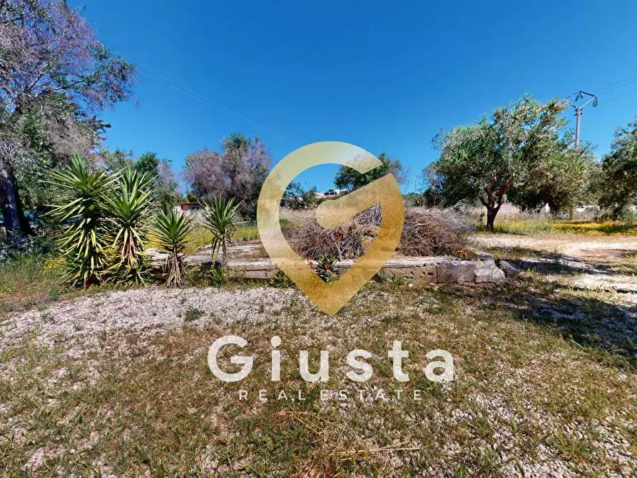 Immagine 14 di Villa in vendita  in Strada Comunale San Nicola 6 a Carovigno