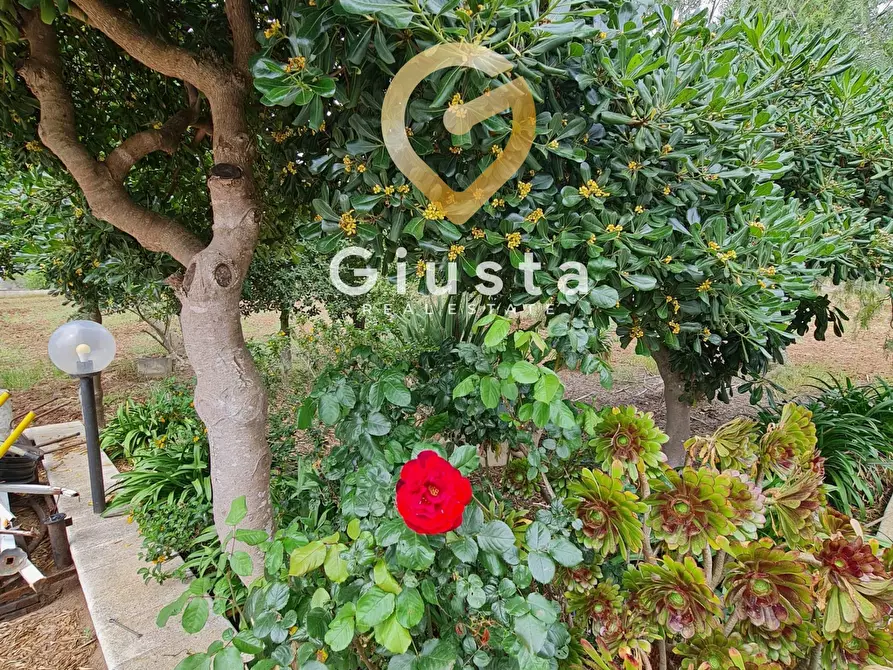 Immagine 10 di Villa in vendita  in cda zambardo a San Vito Dei Normanni